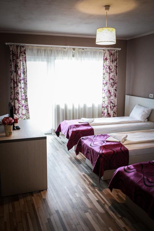 Pensiunea Oxana Lipova Værelse billede